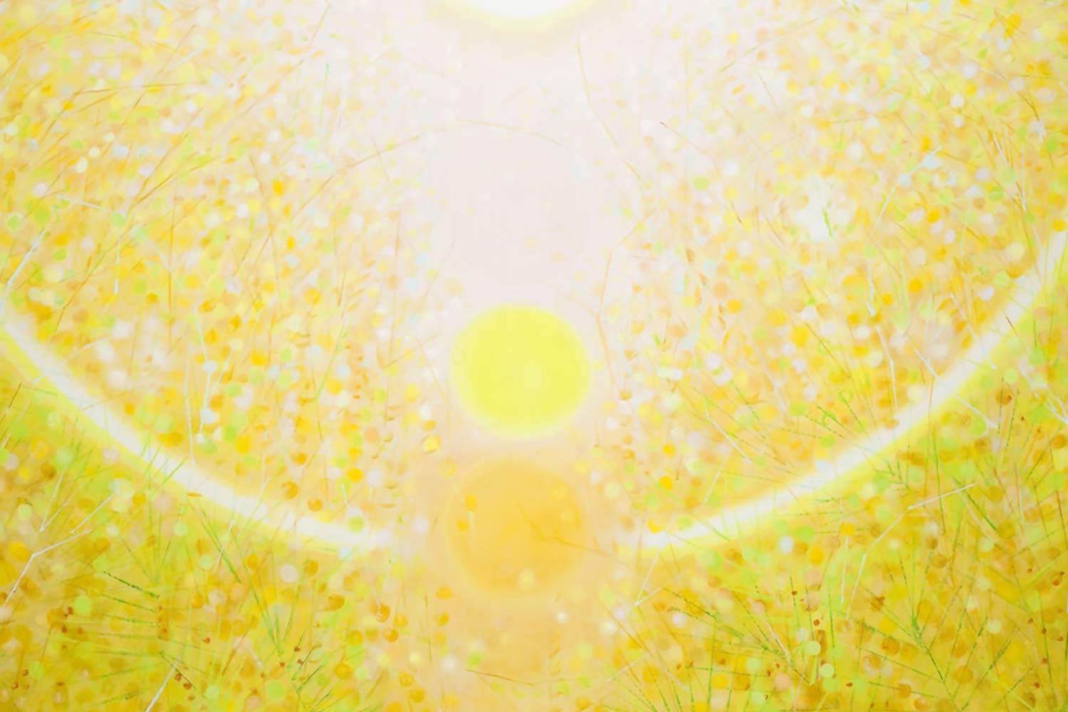 Gemälde von Robert Zandvliet, «Paradaidha: Aurora», 2023
